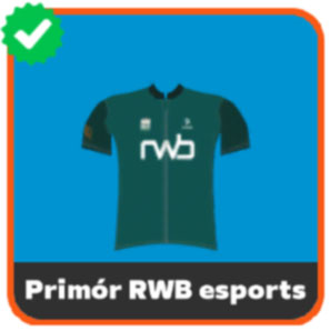 Primor RWB esports